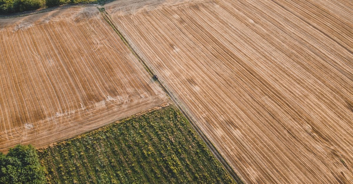 Early Disease Detection in Soybeans