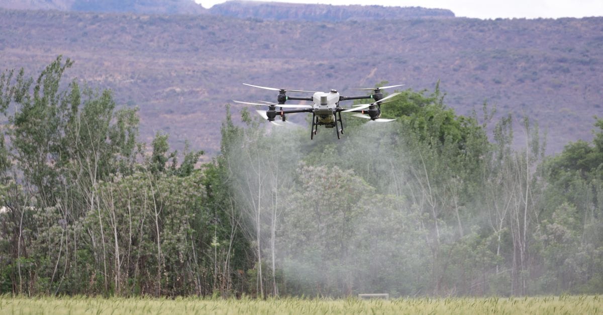 Season-Long Crop Growth Monitoring
